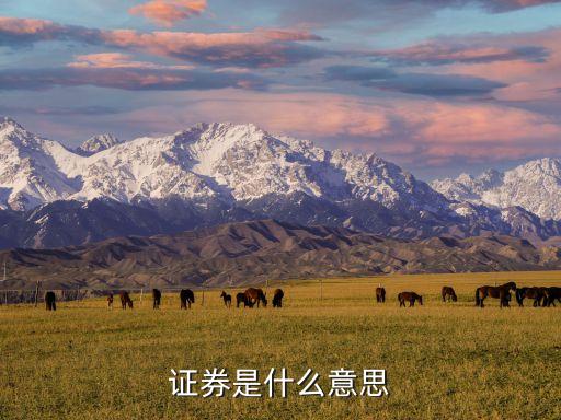 什么是證券，證券基金股票和證券的異同是什么