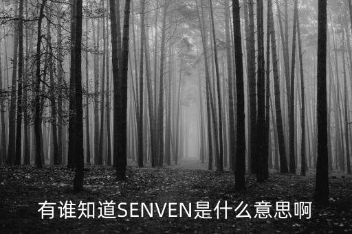 senven，有誰知道SENVEN是什么意思啊