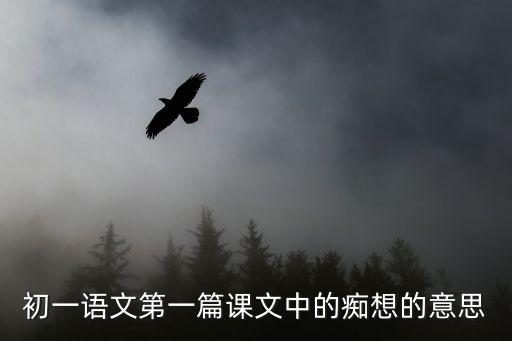 癡想，初一語(yǔ)文第一篇課文中的癡想的意思