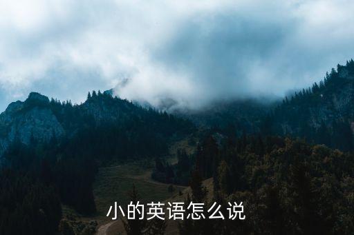 小的英語怎么說，小的英文怎么說