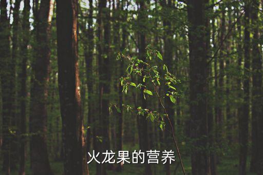 火龍果的營養，火龍果有什么營養價值