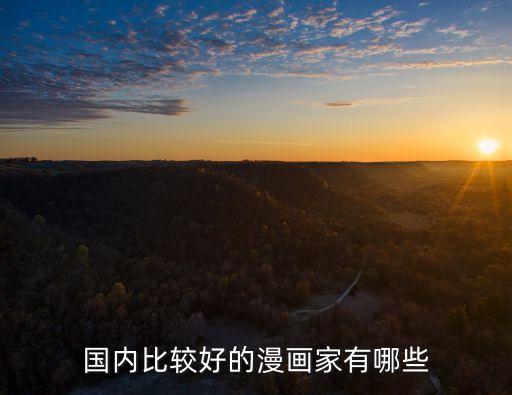 國內比較好的漫畫家有哪些