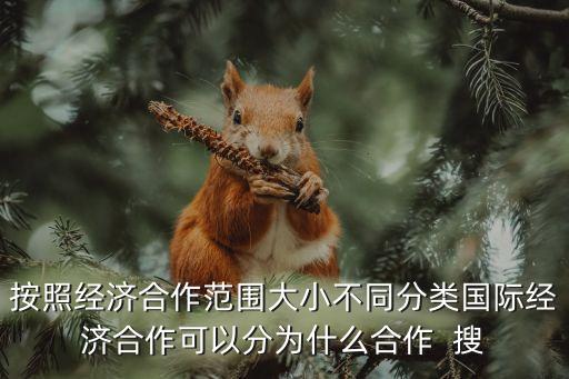 國際經濟合作，國際經濟技術合作包括哪些項目