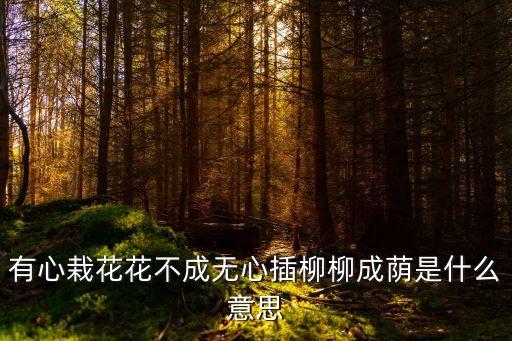 有心栽花花不成無(wú)心插柳柳成蔭是什么意思