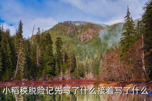 小稻秧脫險記先寫了什么接著寫了什么