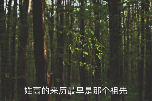 姓高的來歷最早是那個(gè)祖先