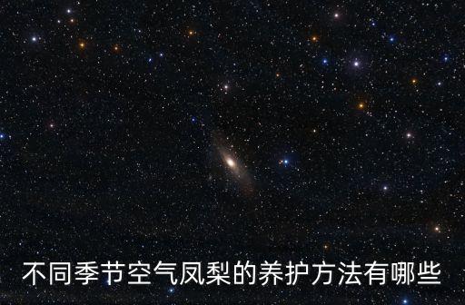 不同季節空氣鳳梨的養護方法有哪些