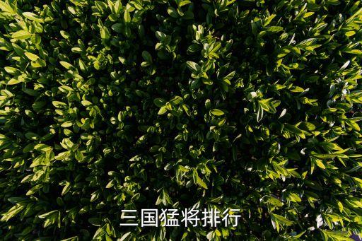 三國猛將排行，三國猛將排行