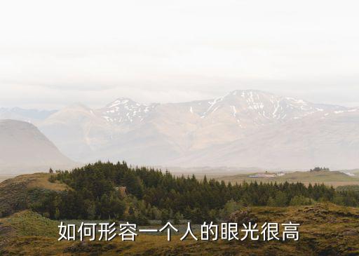 眼光好怎么形容，形容某個人眼光很好的成語