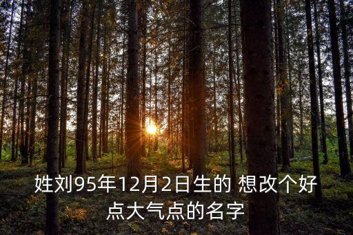 姓劉95年12月2日生的 想改個好點大氣點的名字