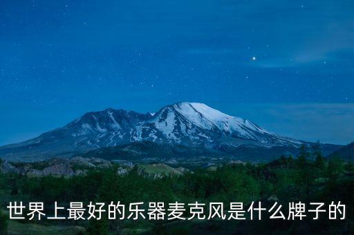 樂器麥克風，世界上最好的樂器麥克風是什么牌子的