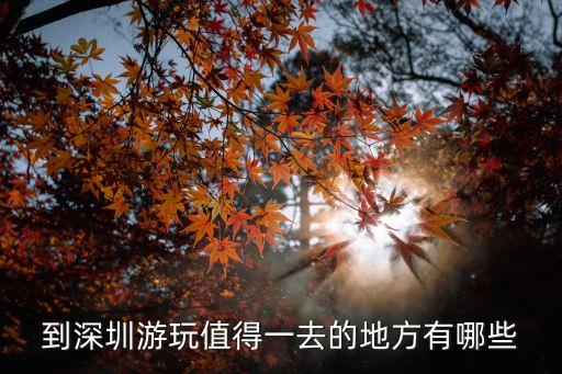 深圳哪里好玩景點排名，深圳旅游景點排名