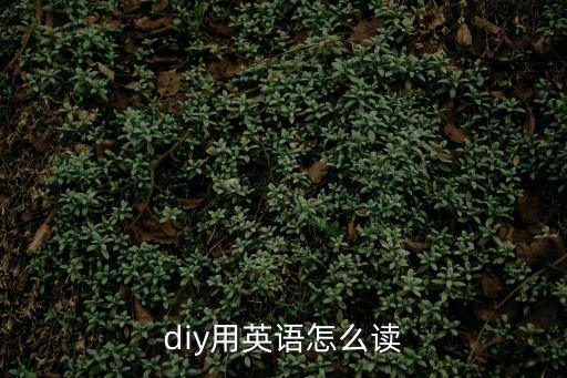 diy用英語怎么讀