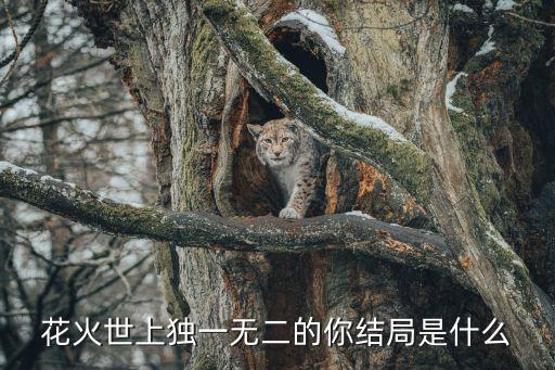 世上獨(dú)一無二的你，世上獨(dú)一無二的你大結(jié)局是什么