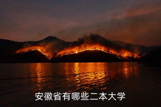 安徽省二本院校，安徽省有哪些二本大學