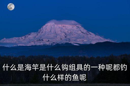海竿，什么是海竿是什么鉤組具的一種呢都釣什么樣的魚(yú)呢