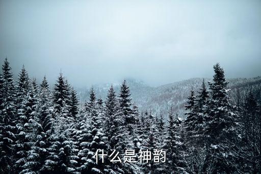 神韻，請問神韻是什么意思能具體解釋嗎