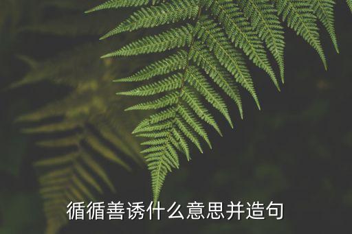 循循善誘什么意思并造句