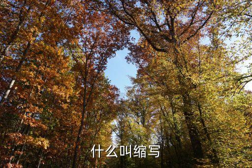 縮寫英語，字母表的英語縮寫怎么寫