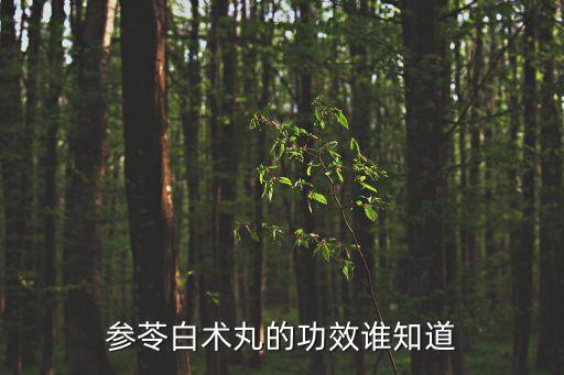 參苓白術(shù)丸的功效與作用，參苓白術(shù)丸的作用