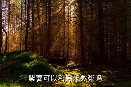紫薯黑米粥，紫薯黑米粥可以放白糖嗎的做法