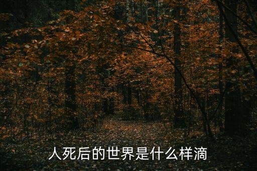 人死后的世界是什么樣滴