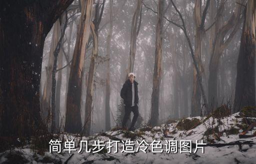 簡單幾步打造冷色調圖片