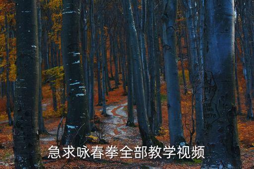 詠春拳教學，詠春拳教學視頻別的功夫也行