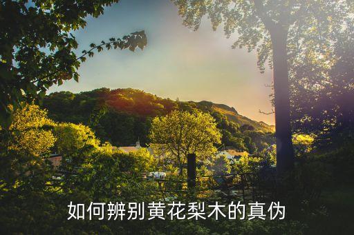 如何鑒別黃花梨，怎樣識別黃花梨