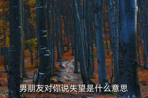 失望的意思，我想問什么是失望