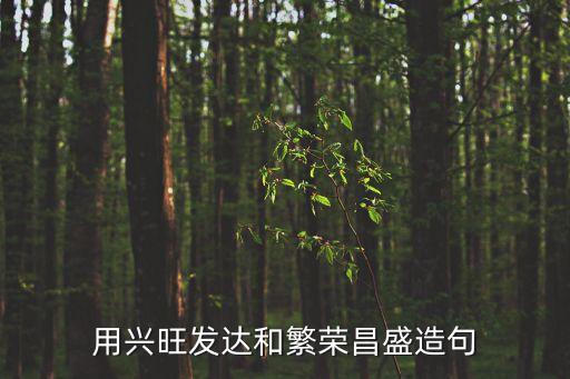 繁榮昌盛造句，繁榮昌盛造一個句子
