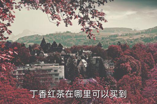 丁香紅茶，丁香紅茶在哪里可以買(mǎi)到