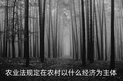 農業法規定在農村以什么經濟為主體