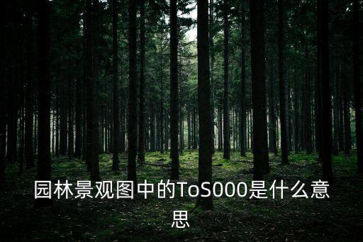 topsoil，園林景觀圖中的ToS000是什么意思