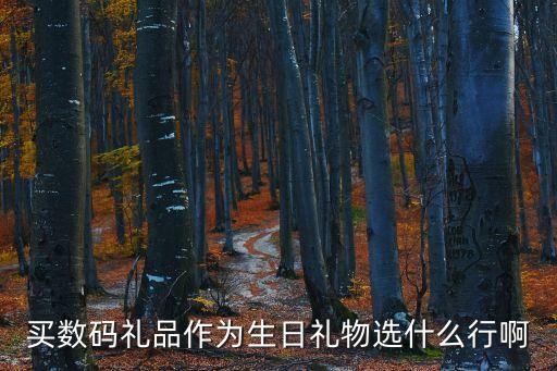 數碼禮品，電子行業給客戶送什么數碼禮品比較好