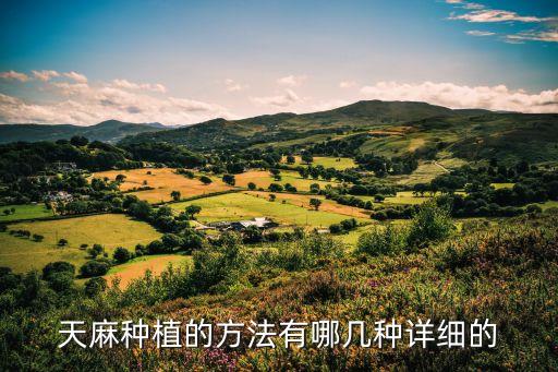 天麻種植方法，天麻如何選種栽種