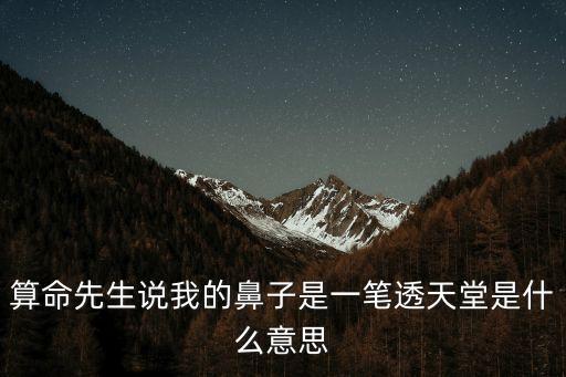 算命先生說(shuō)我的鼻子是一筆透天堂是什么意思
