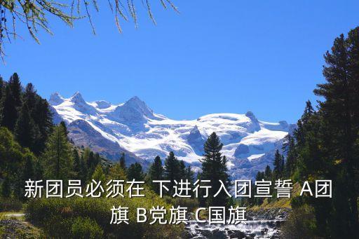入團宣誓，新團員必須在 下進行入團宣誓 A團旗 B黨旗 C國旗