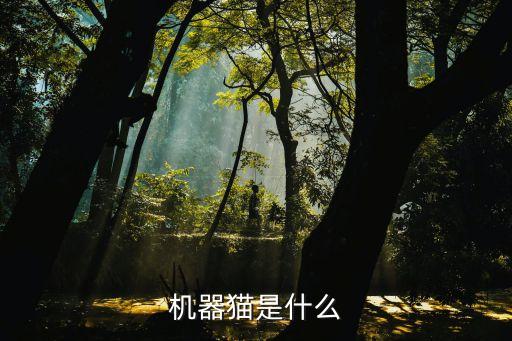 機(jī)械貓，機(jī)器貓是什么