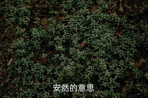 安然是什么意思，安然的意思