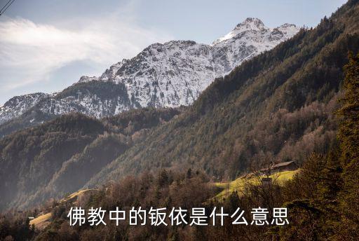 寇依，chloe是什么檔次