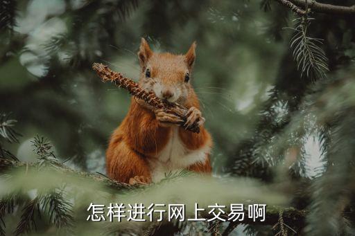 網(wǎng)絡交易，誰知道比較好的網(wǎng)絡交易平臺推薦一下 謝謝