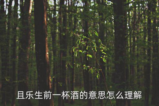 且樂生前一杯酒，且樂生前一杯酒的意思怎么理解