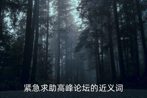 緊急求助高峰論壇的近義詞