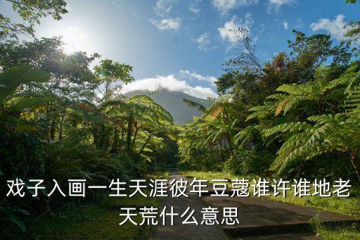 地老天荒意思，不見佳人兮思之東墻愿偕汝兮回故鄉與汝白頭兮地老天荒