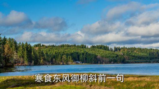 寒食東風，寒食東風御柳斜是什么詩
