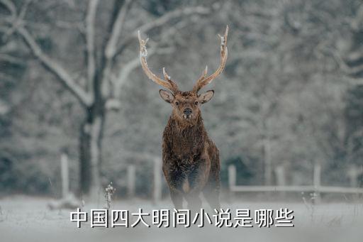 民間小說，推薦本民間小說看看