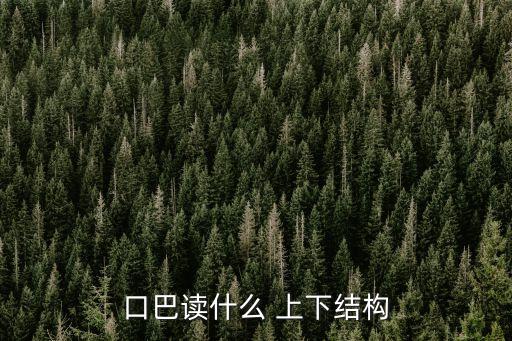 口巴，一個口一個巴念什么