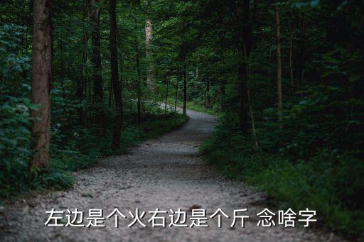 火斤，左邊是個火右邊是個斤 念啥字