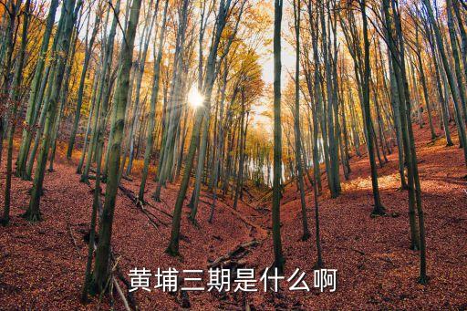 黃埔三期，為什么很少提黃埔軍校三期學員